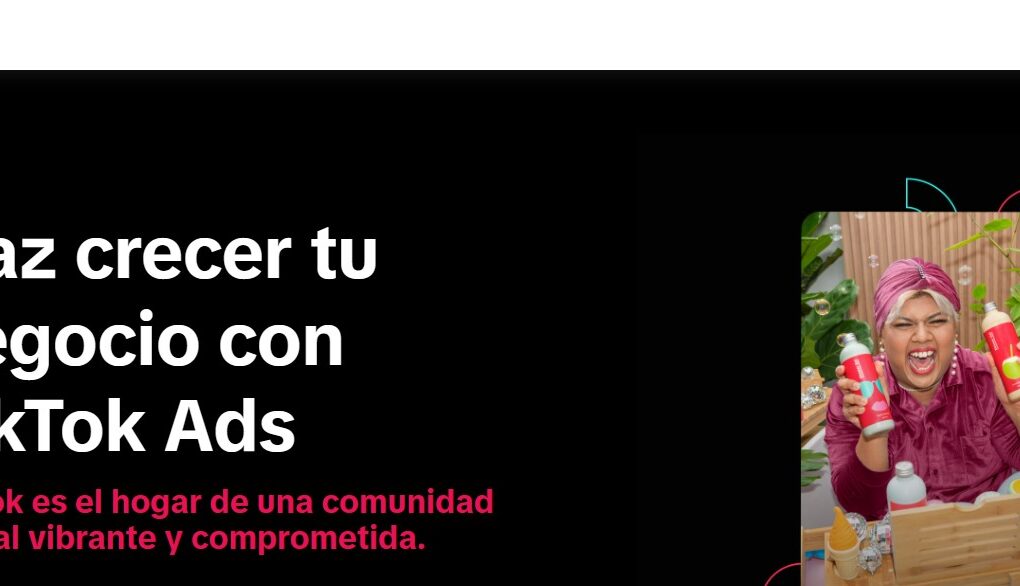alt="Interfaz de TikTok Business 2025"