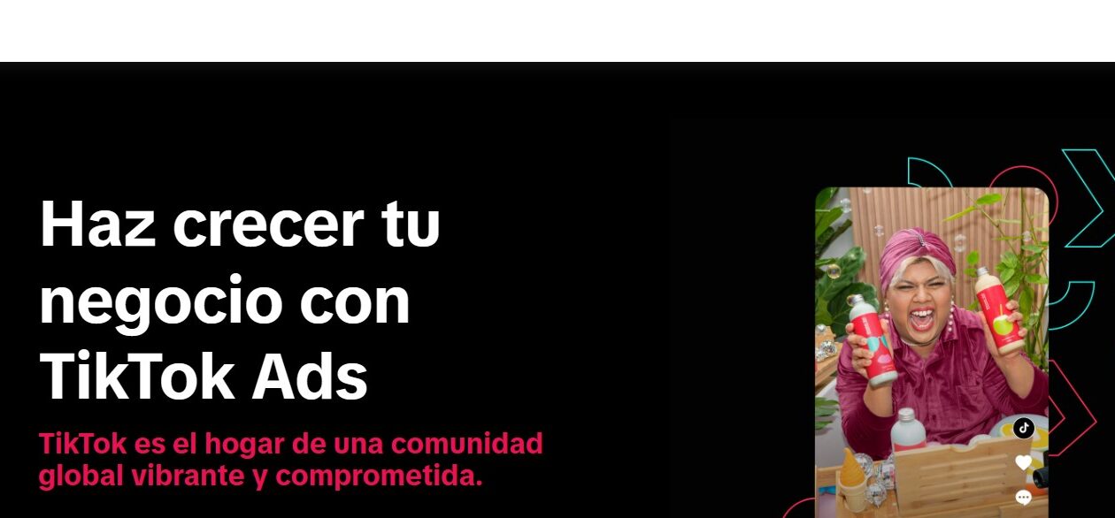 alt="Interfaz de TikTok Business 2025"